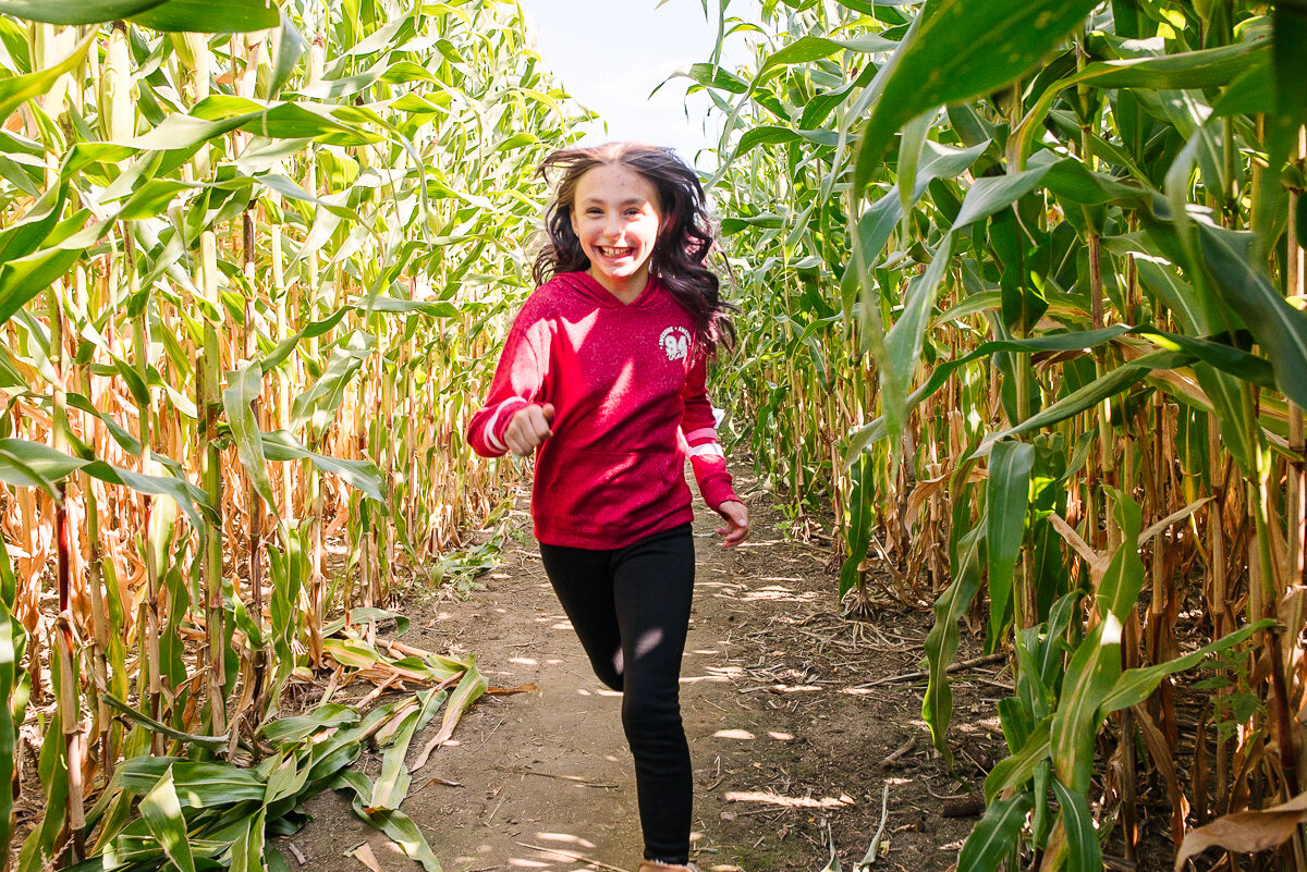 girl runs through corn maze on visit to apple picking farm near kingston ontario for a candid family photosession to capture documentary style family photos in the year in the life package