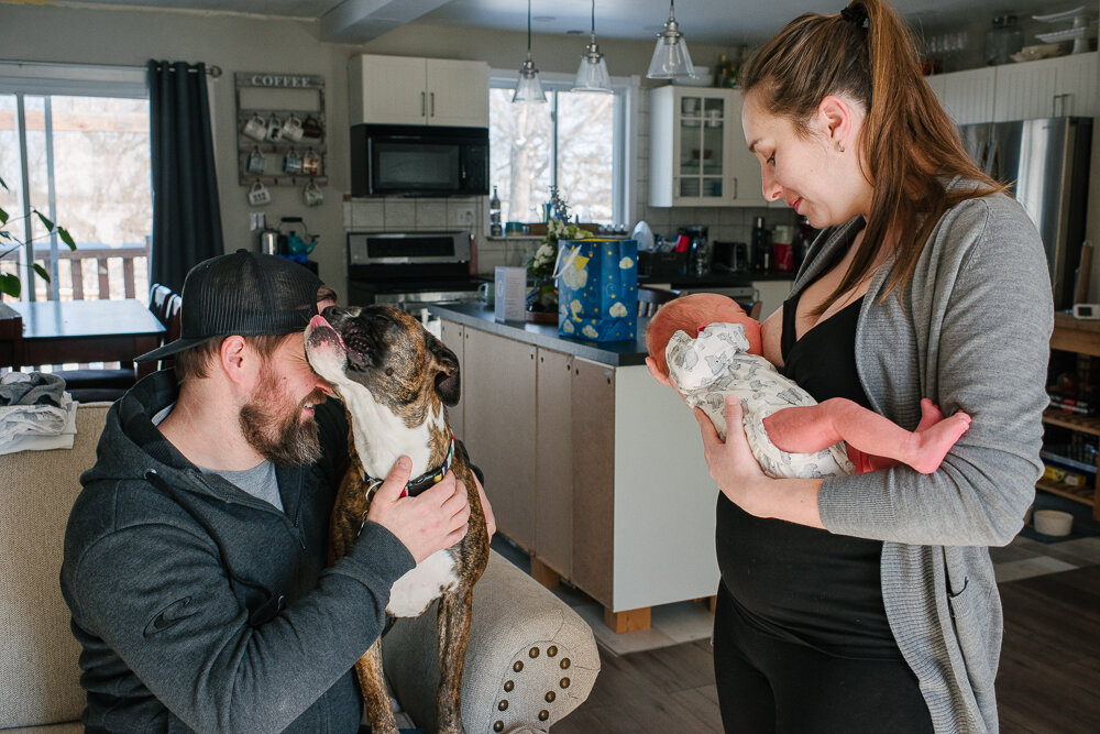 busy family of a newborn juggles parenting their baby and their dog
