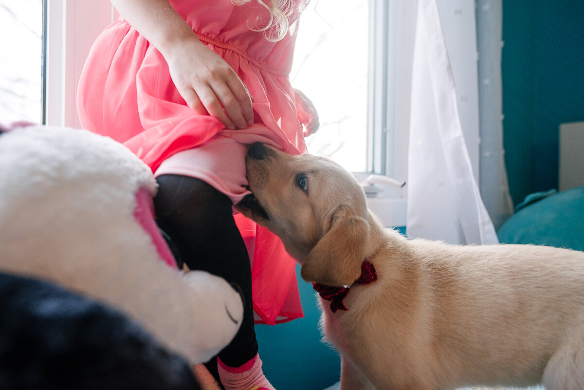 Kingston family welcomes new puppy with photographer to capture it 