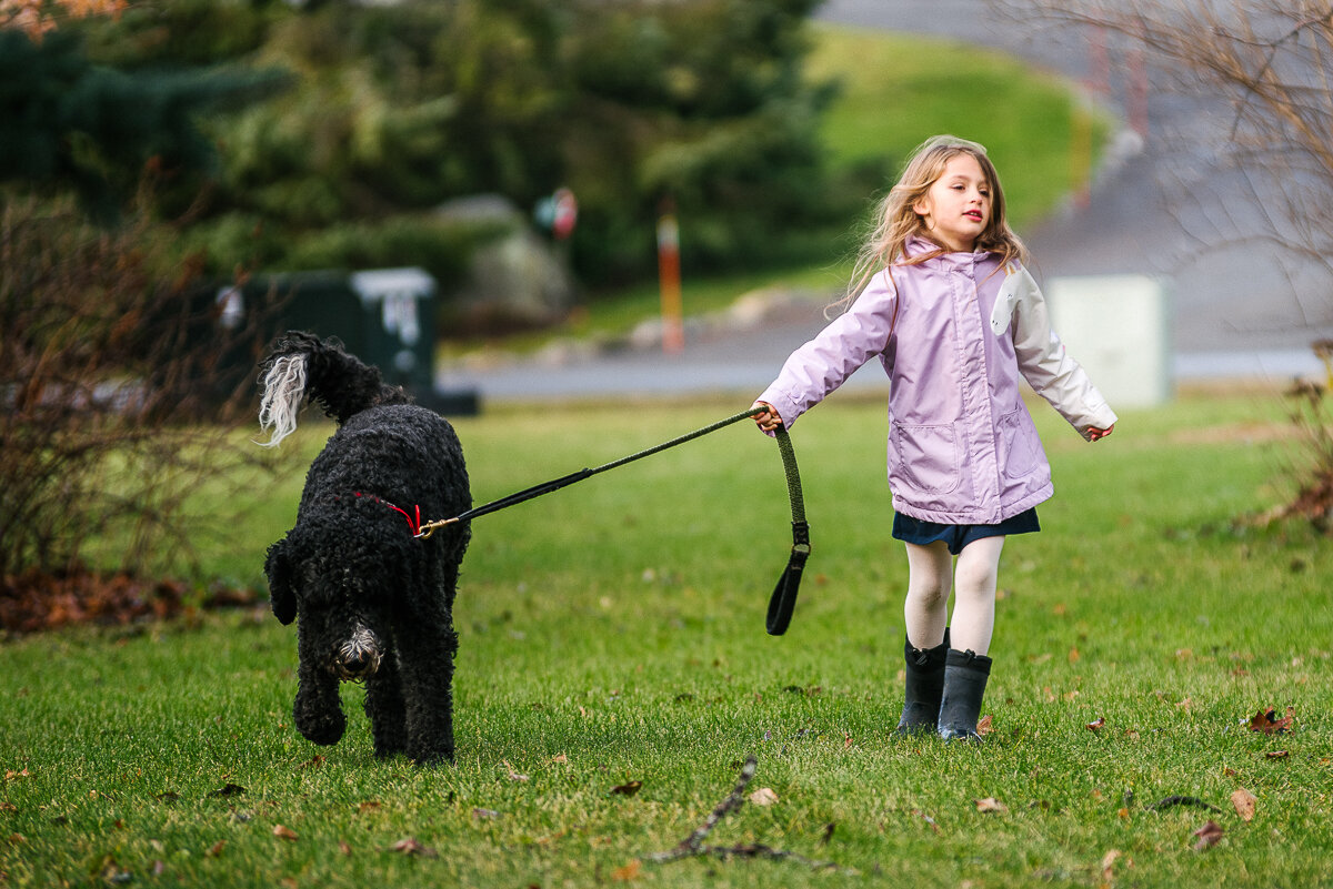 little girl walking her dog during day in the life session 2020 kingston ontario