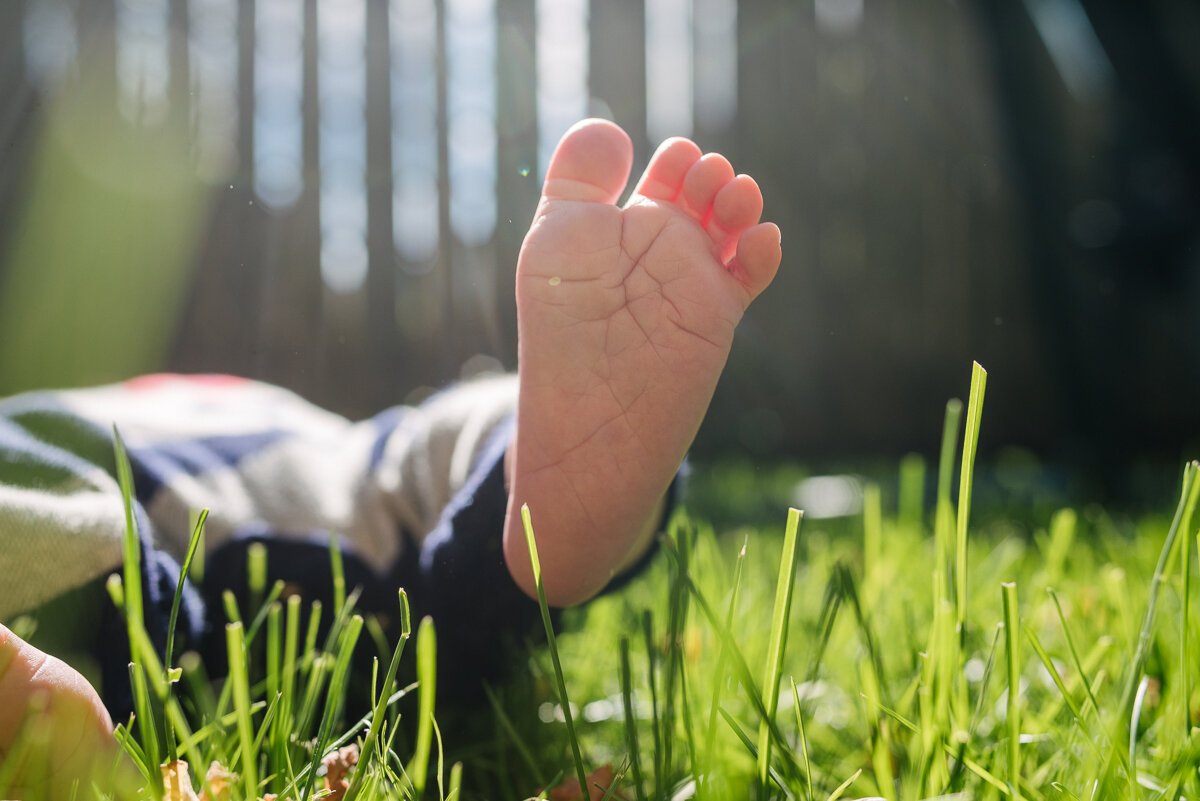 new born baby foot in the grass 