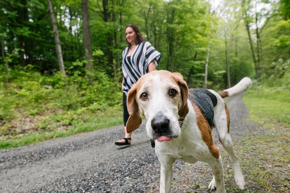 Dog walking with his mom on the road in a forest