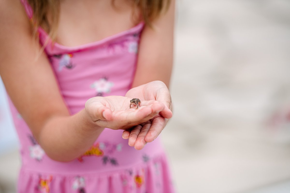 Girl wearing pink dress holding insect in her hands.