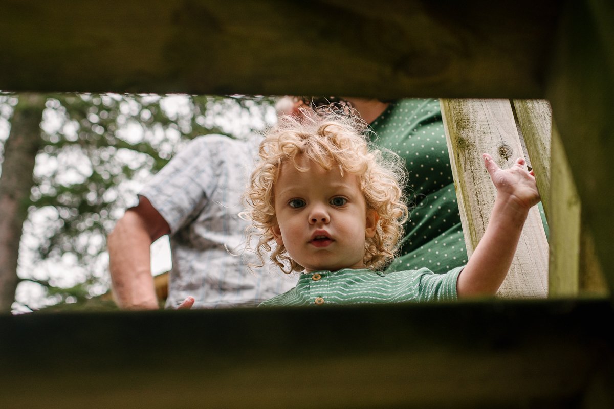 Little boy with blond curly hairs looking at the camera.