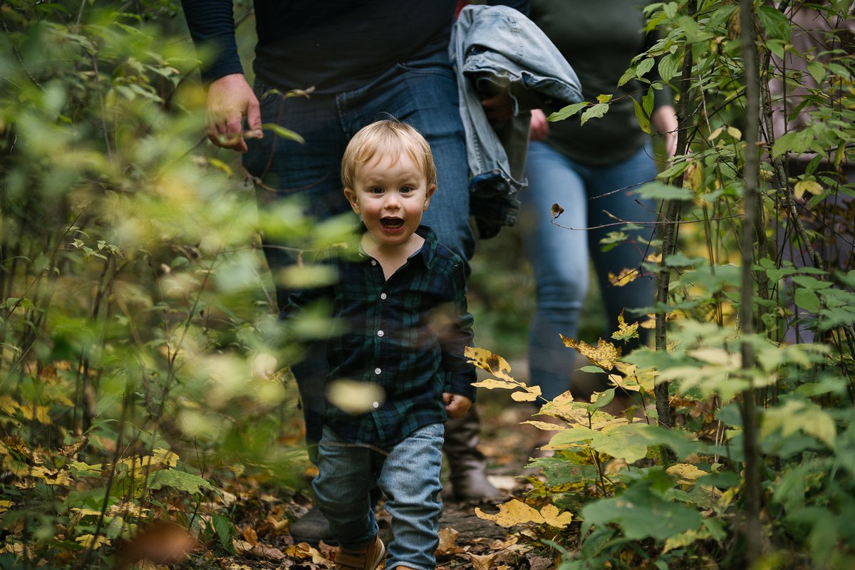 Little boy walking in the forest garden.