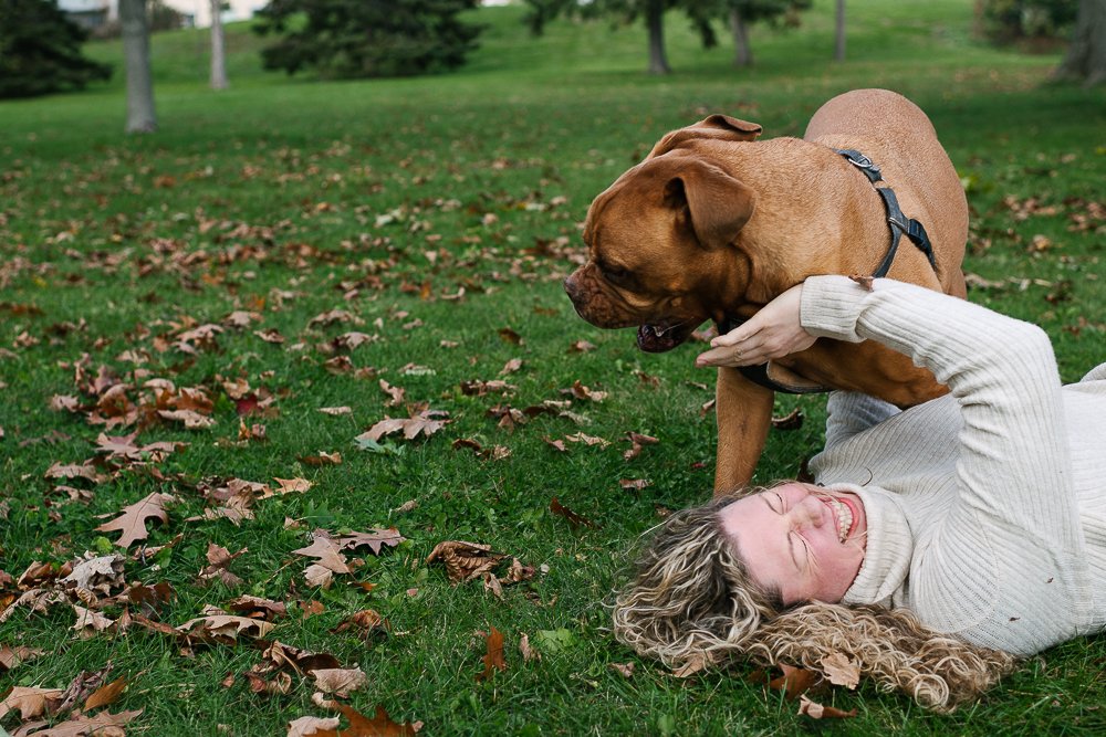 Woman playing with her brown mastiff dog in the park