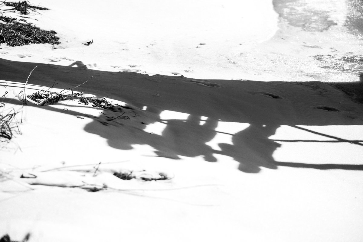 Shadow image in the snow during day in sunlight