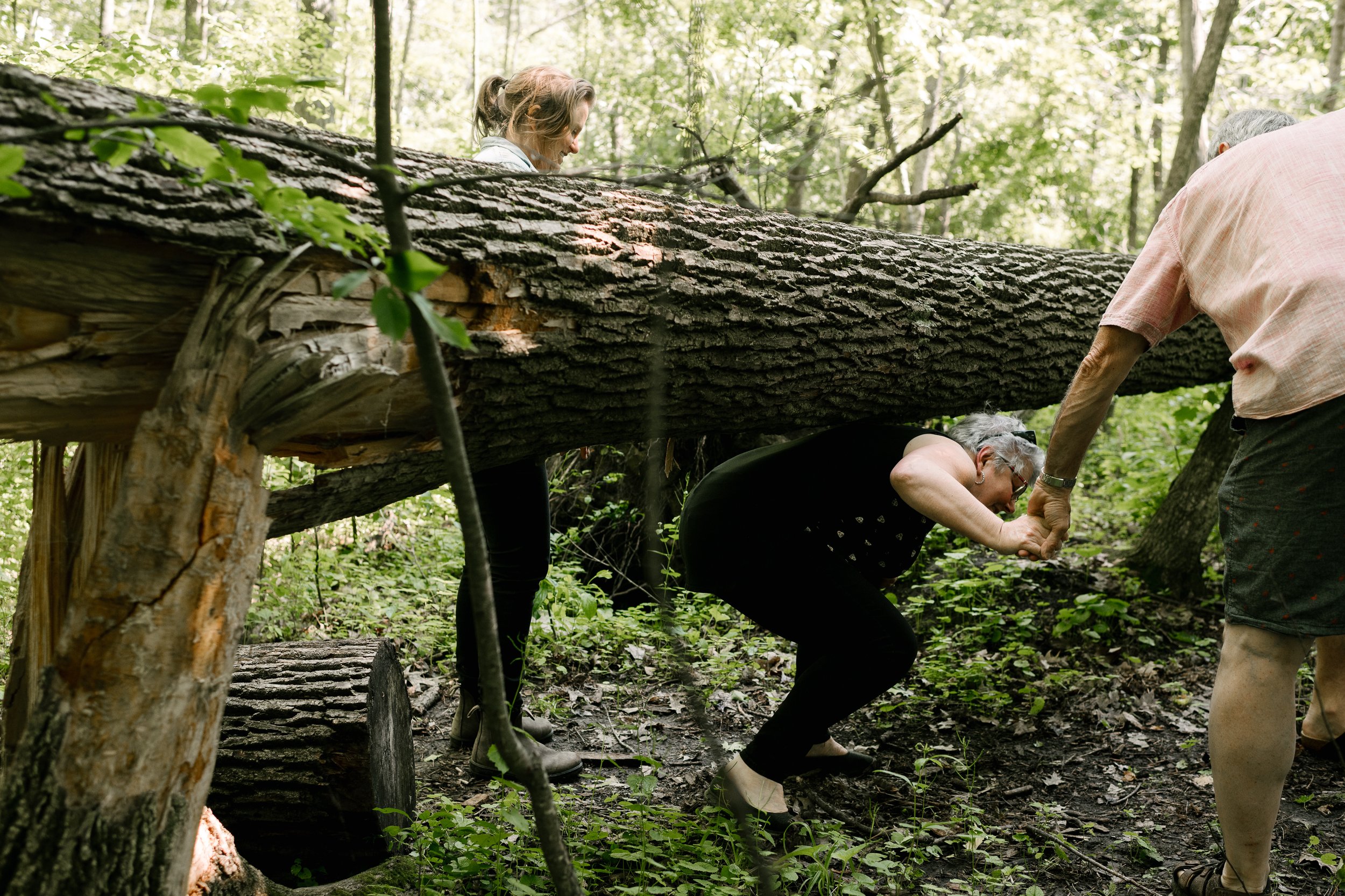 Family walking down the tree in the park