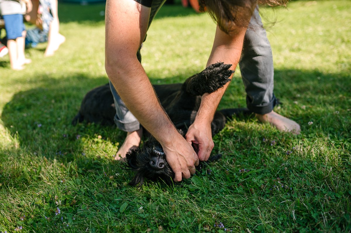 Man playing with his black pet dog in the garden