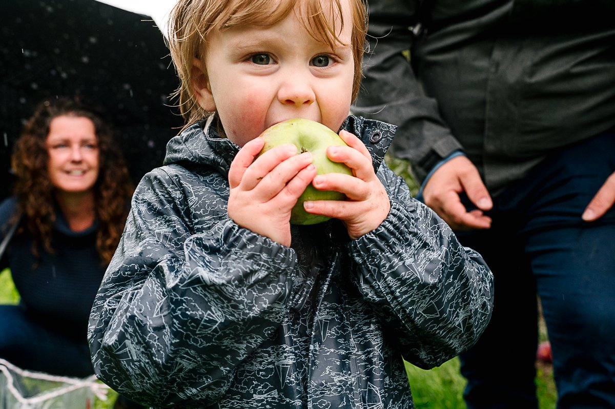 After pictures of the little baby boy in the apple farms.