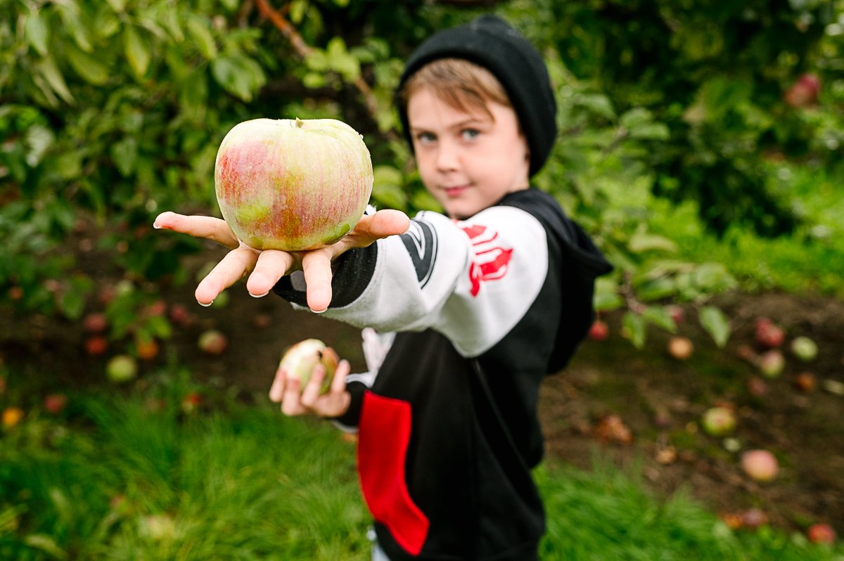 Boy holding apple in his palm wearing blue and white hooded  jacket.