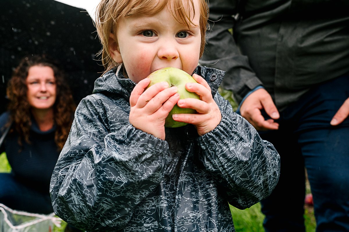 Boy eating apple in the apple farms.