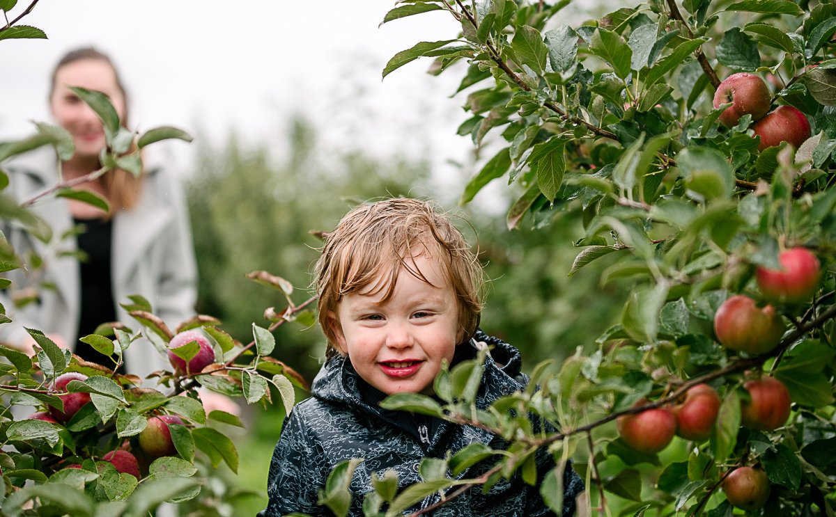 Boy running in the apple farms 