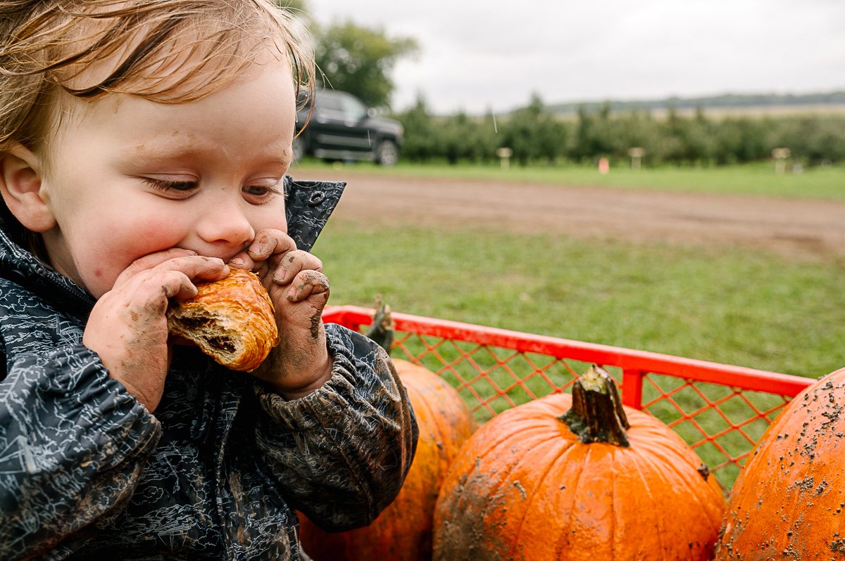 Boy enjoying his meal sitting in the cart with pumpkins.