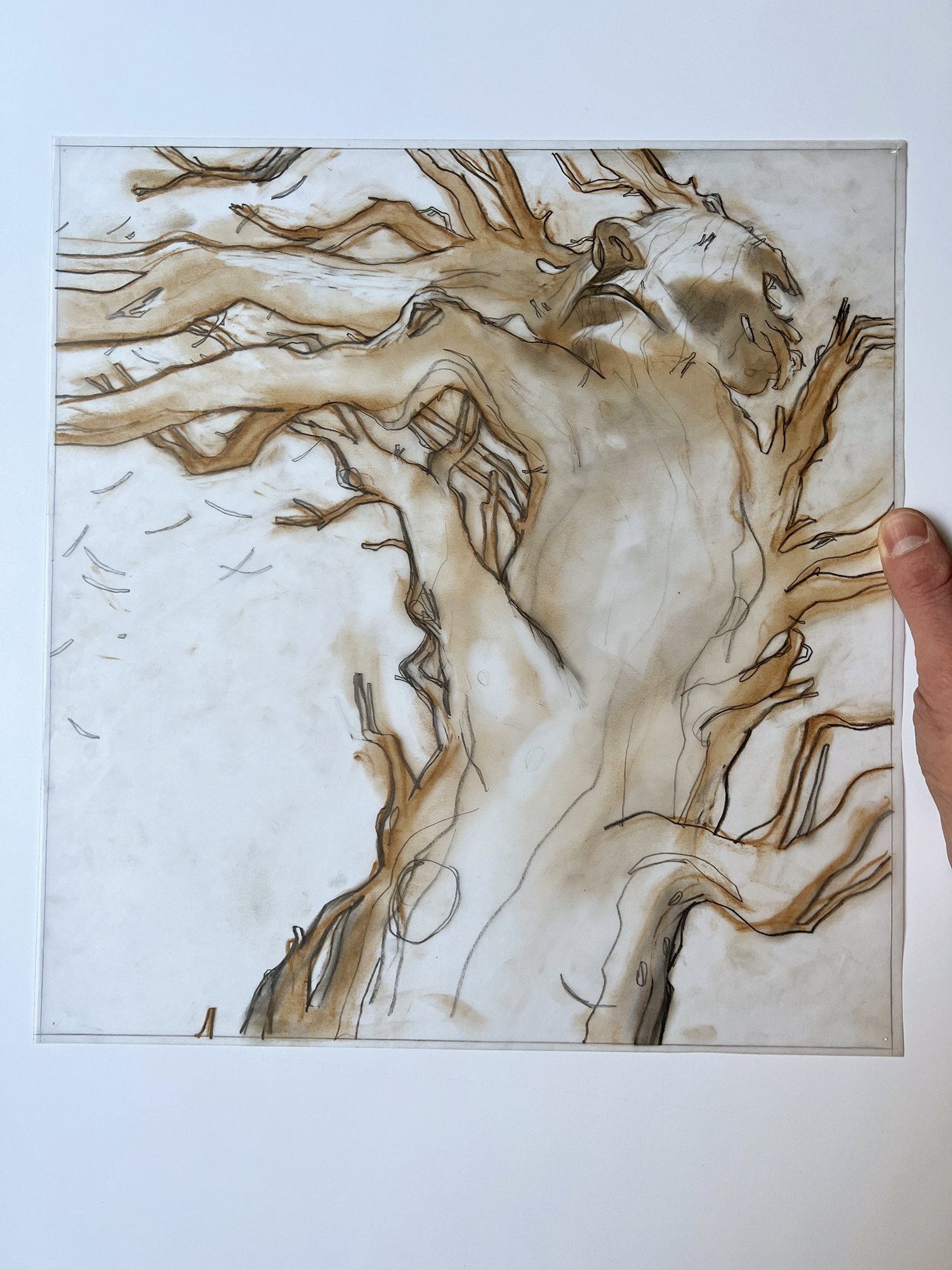 corpsetree_prelim_pf_web.jpg