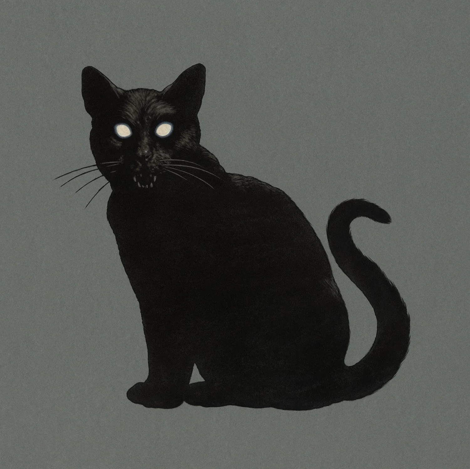 The Black Cat | Personal Work