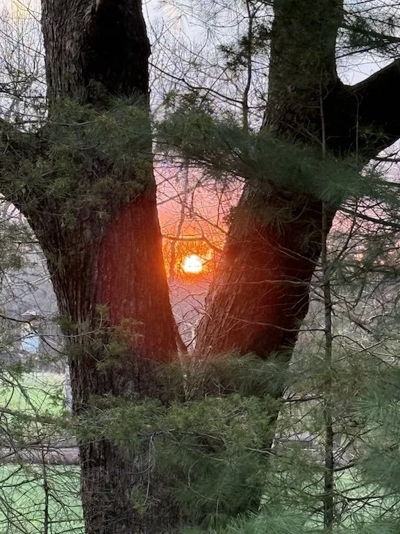 Offering Beauty to My Beloved