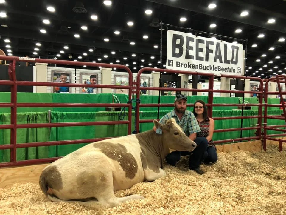 BEEFALO at the Kentucky State Fair - 1st time ever!