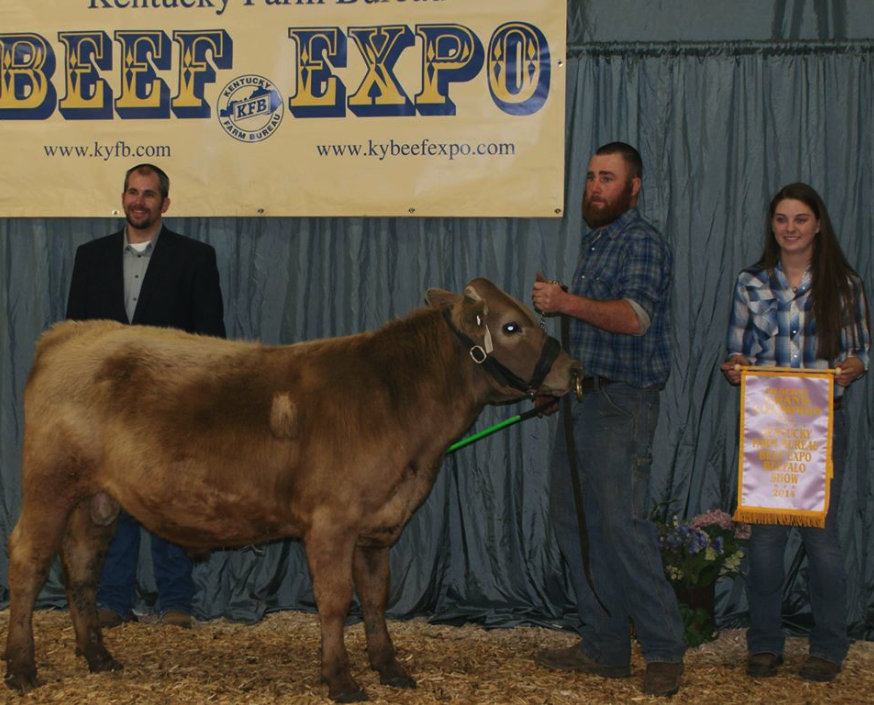 2014 BULL - RESERVE GRAND CHAMPION - FRED - LOUISVILLE.PNG