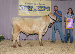 2013 BULL - GRAND CHAMPION - AVALANCHE - LOUISVILLE.png