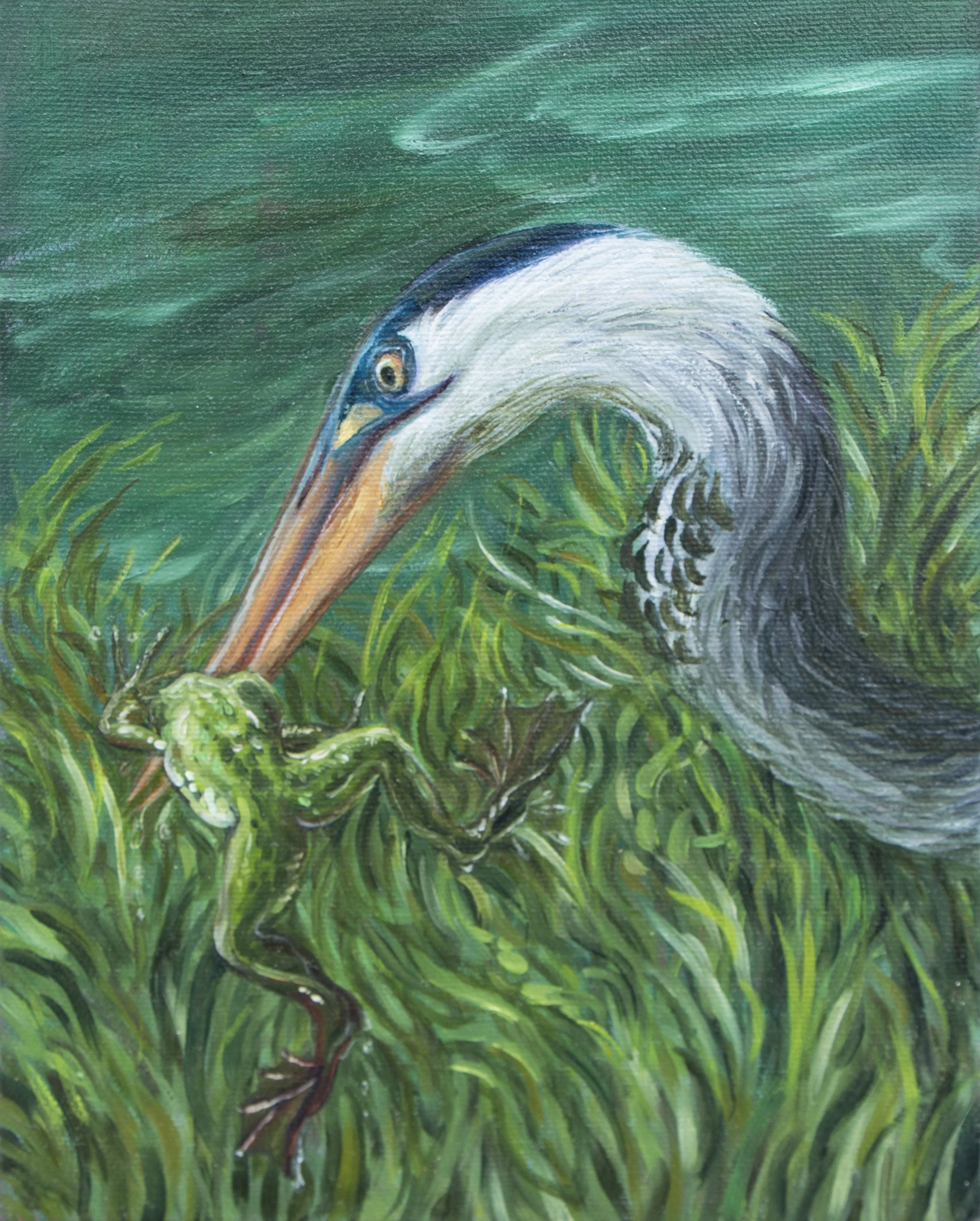 Nguyen-Heron-9x7-2025 300.jpg