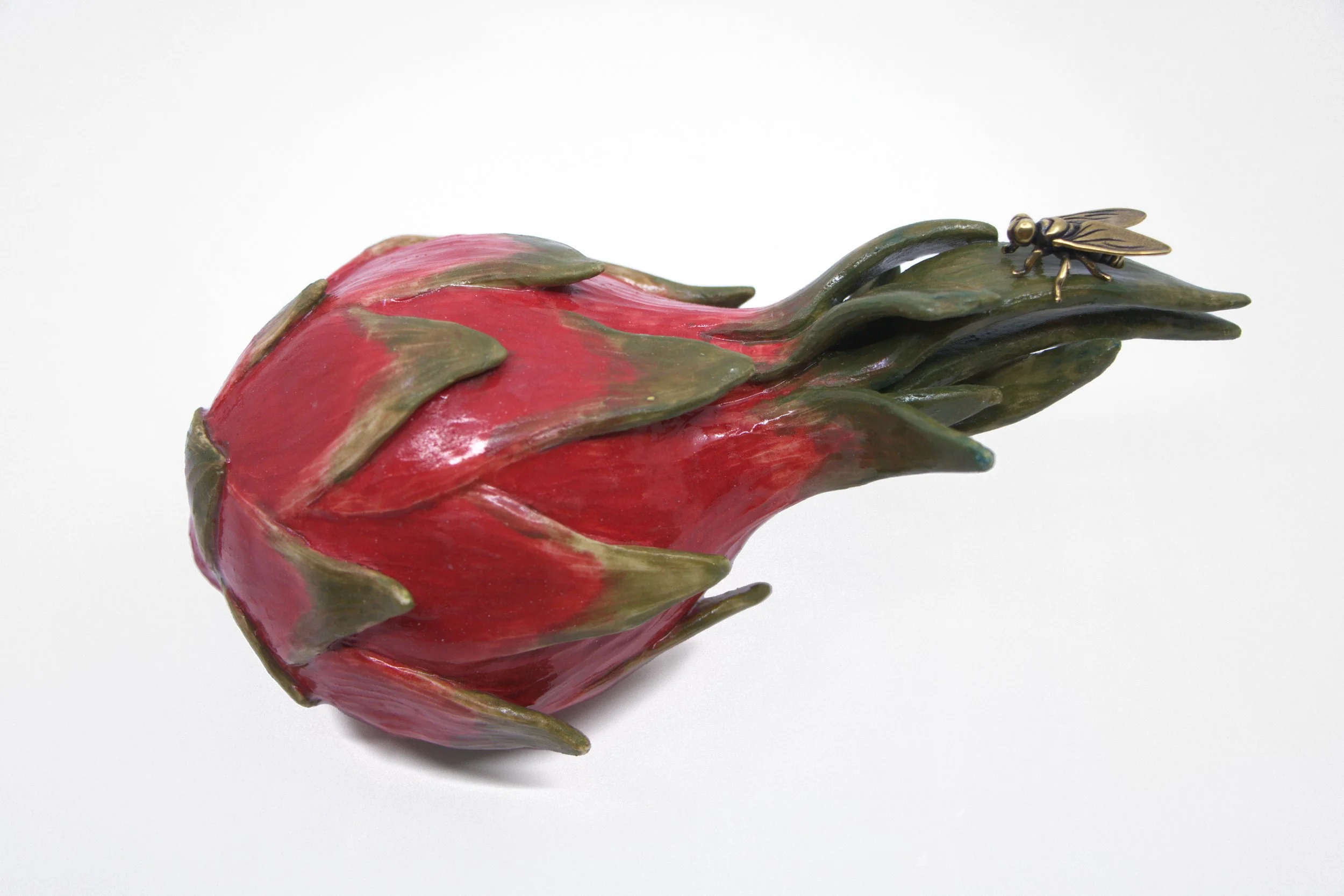 Nguyen-Drgonfruit-8x4-2025-detail1 300 White background.jpg