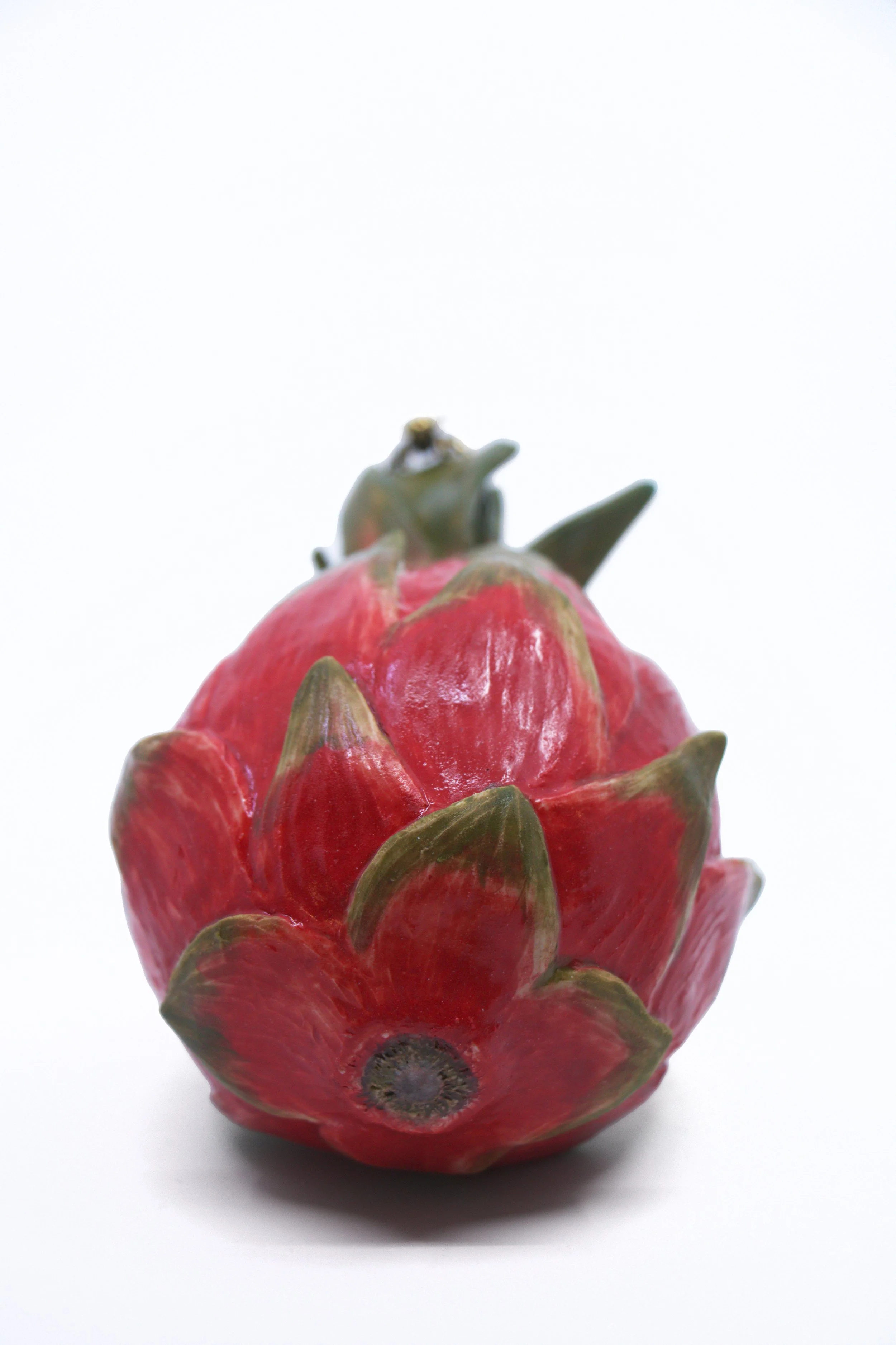 Nguyen-Drgonfruit-8x4-2025-detail2 300 White background.jpg