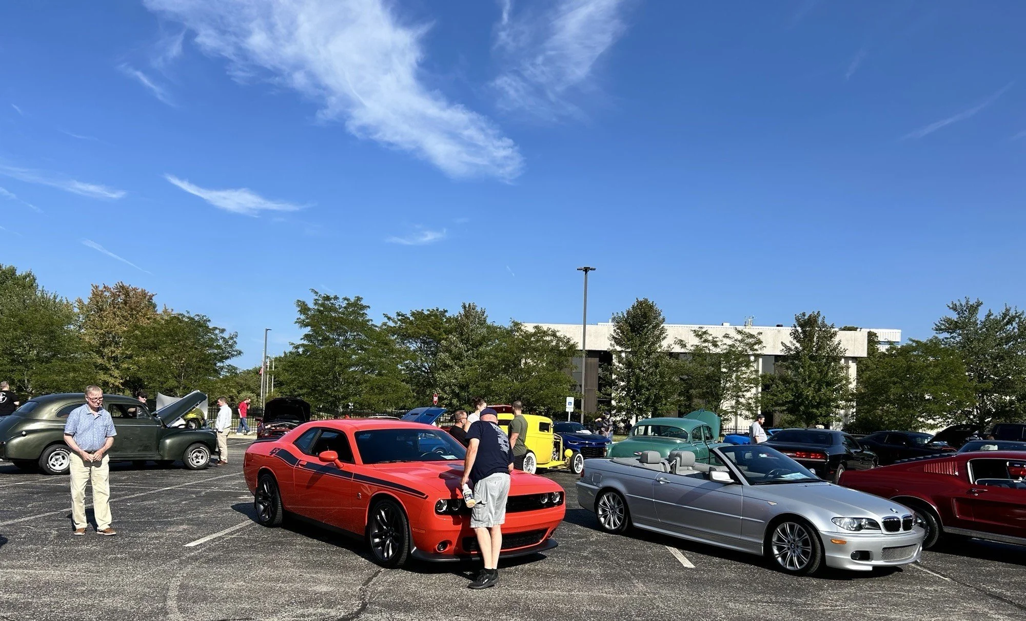 IMG_7993.jpeg