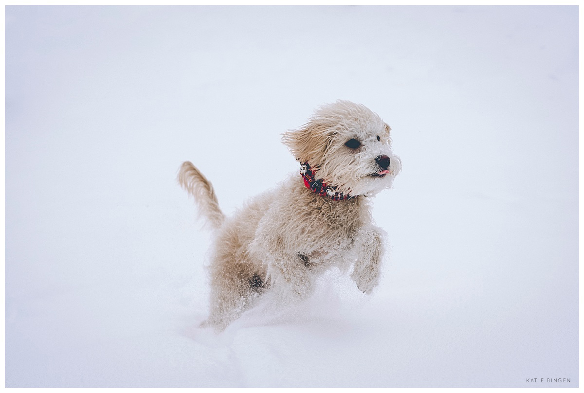 Graham | Pewaukee Lifestyle Session