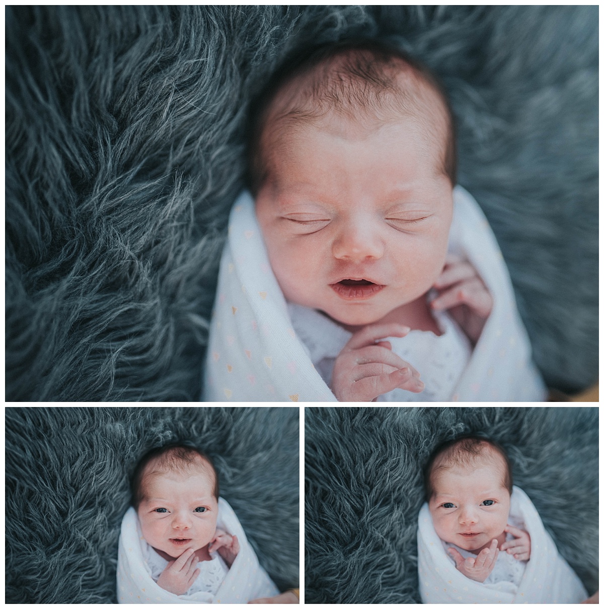 Milwaukee-Newborn-Photographer (13).jpg