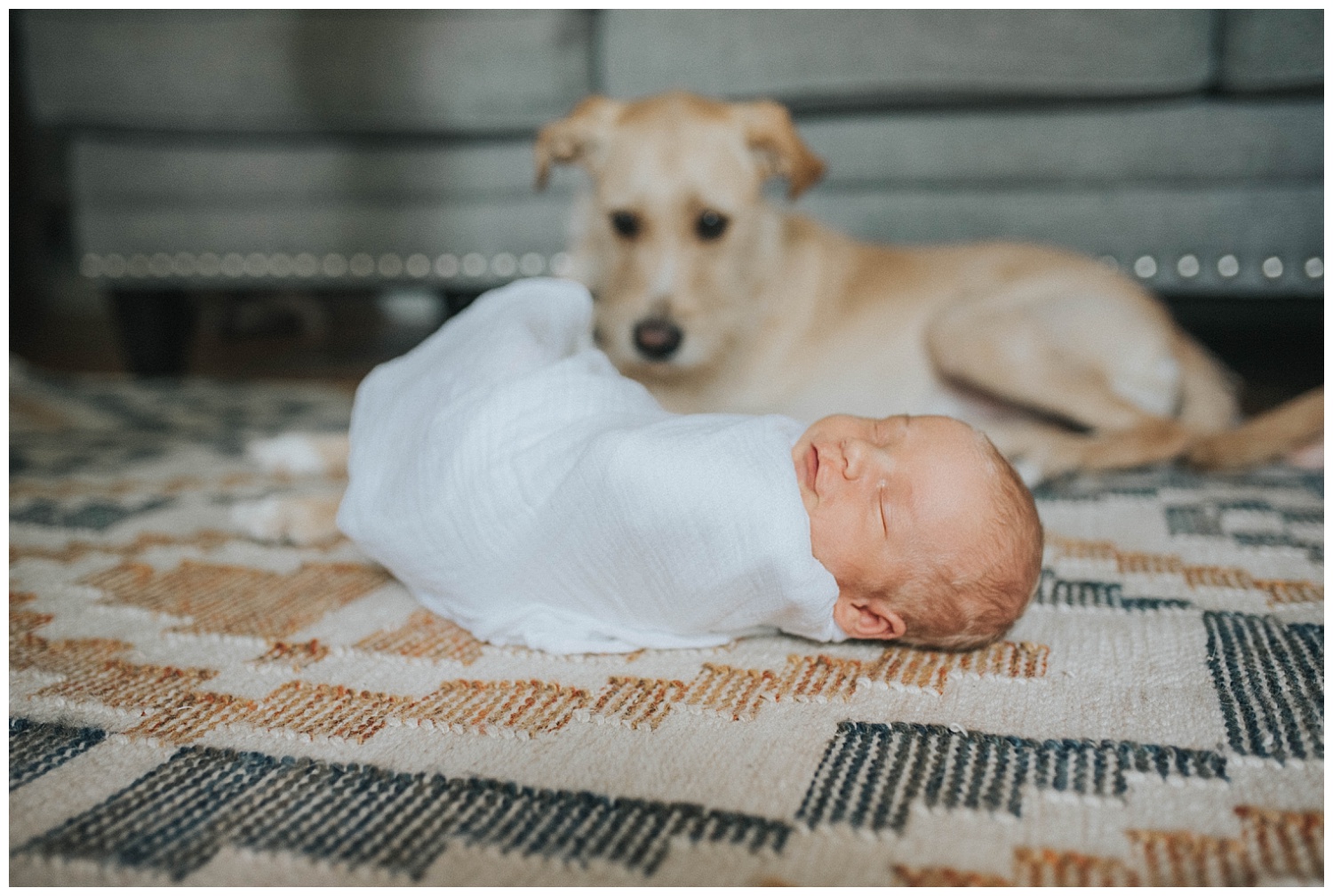 Milwaukee-Newborn-Photographer (12).jpg