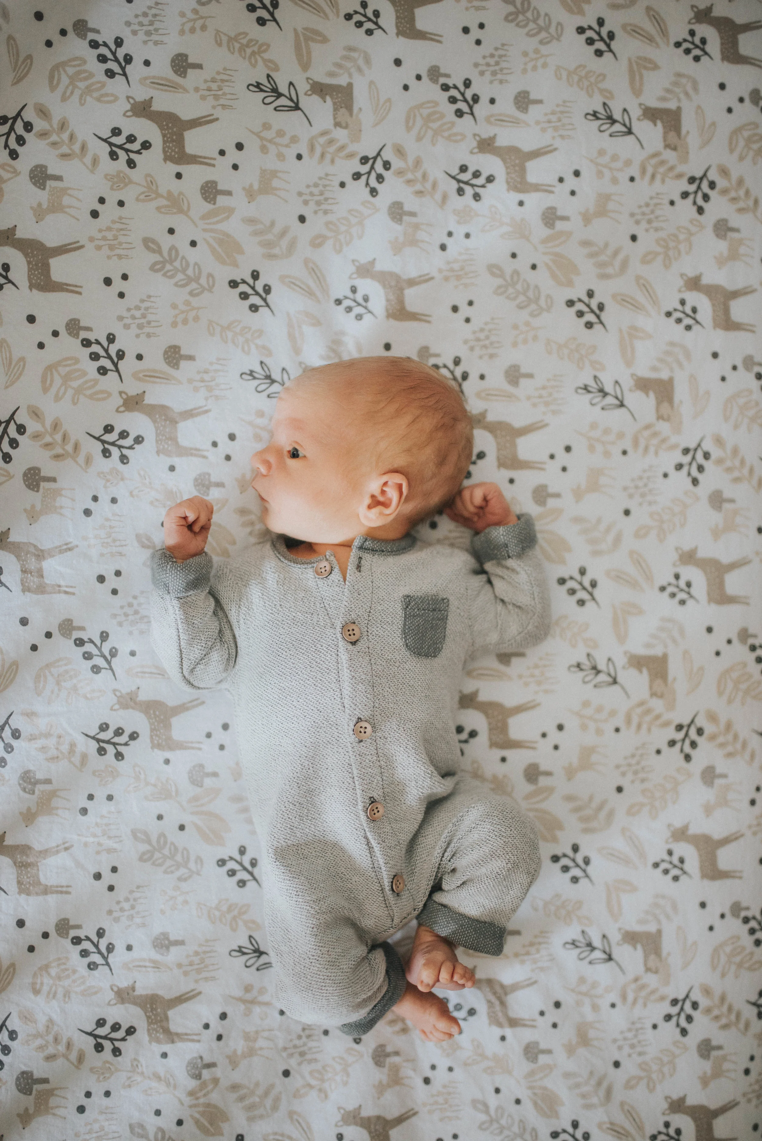 Wally | Newborn Lifestyle Session
