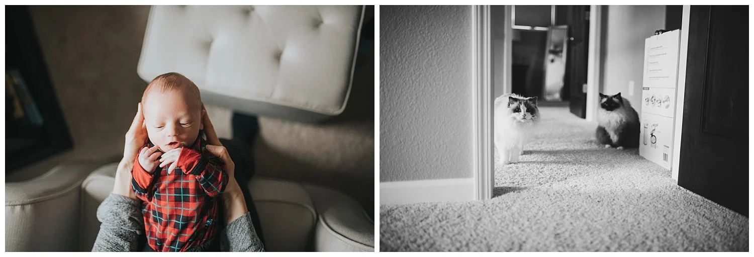 MKE-newborn-photographer (8).jpg