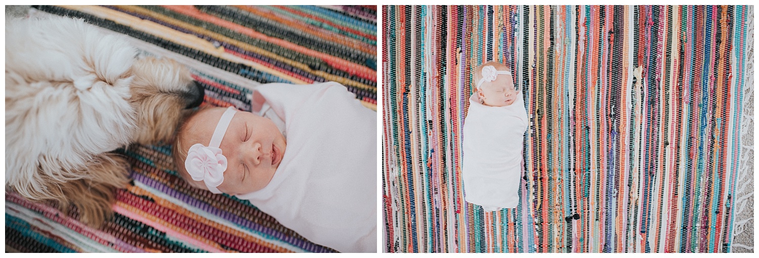 milwaukee-newborn-photographer-2018 (20).jpg