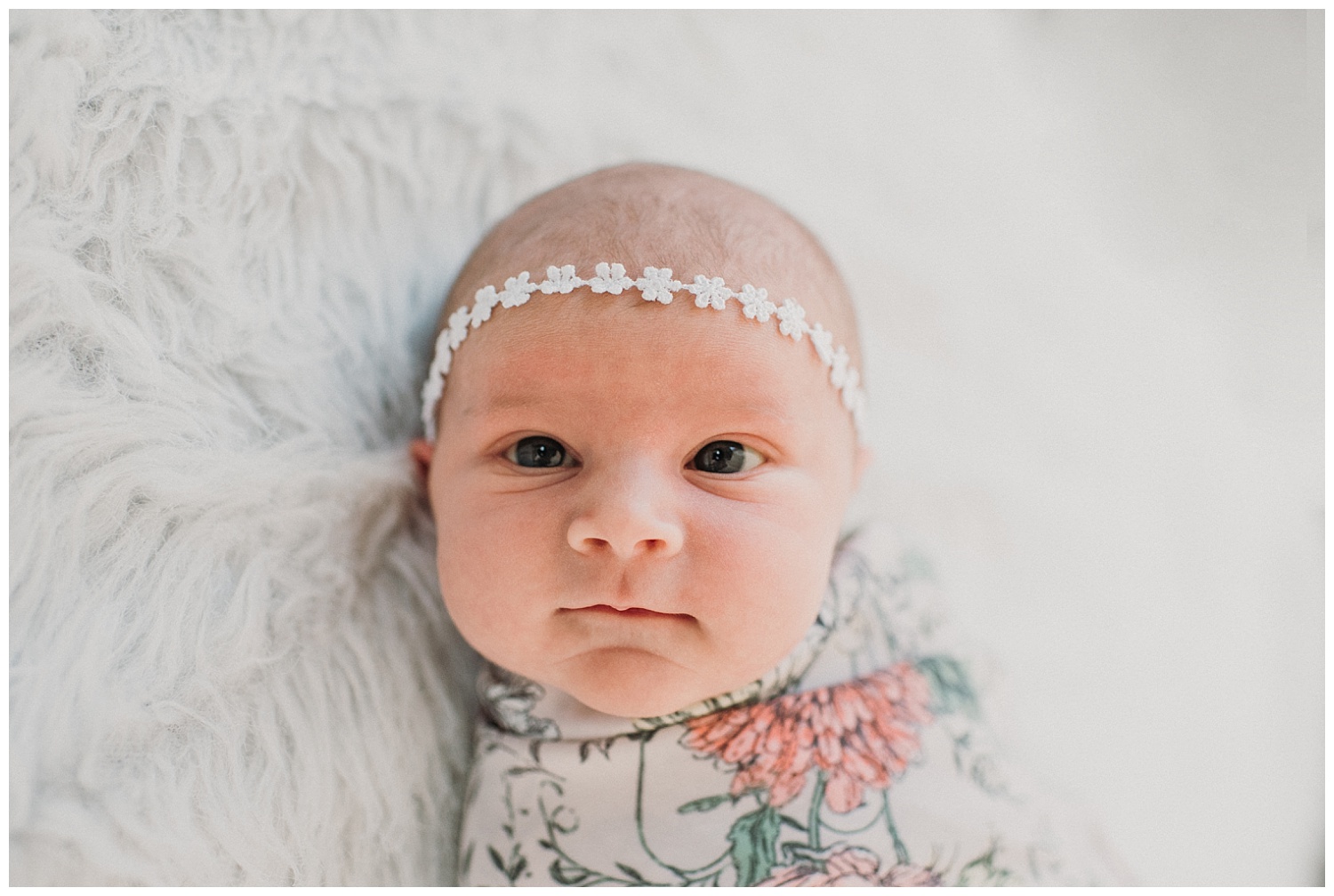 MKE-newborn-photographer (30).jpg
