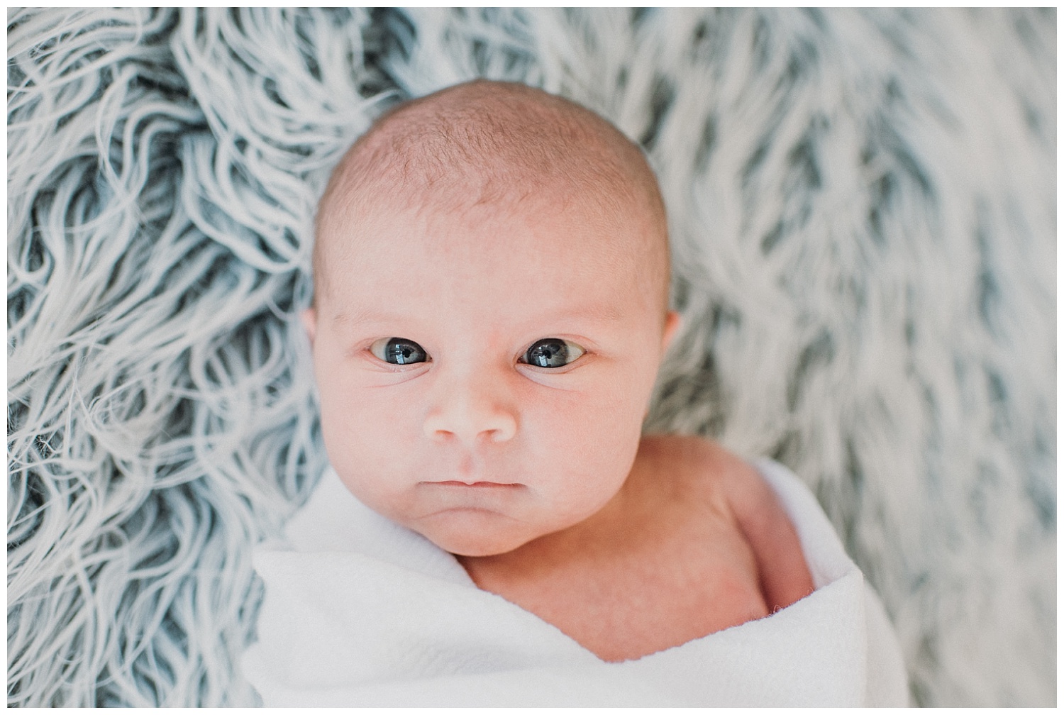 MKE-newborn-photographer (33).jpg