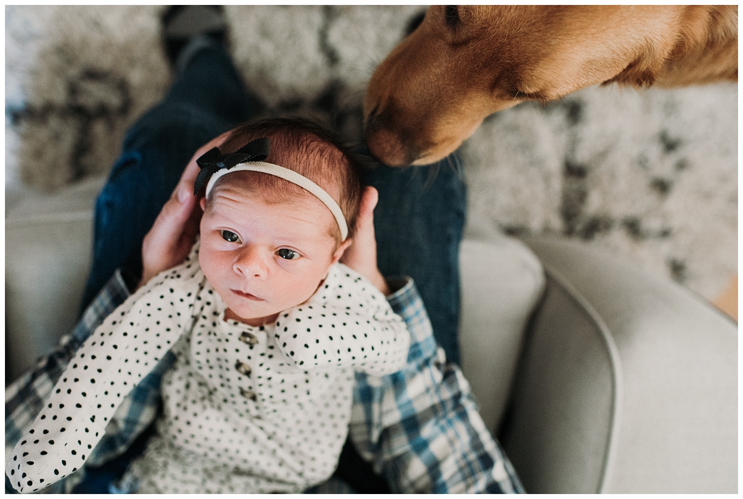 Milwaukee-newborn-photographer-2019 (24).jpg