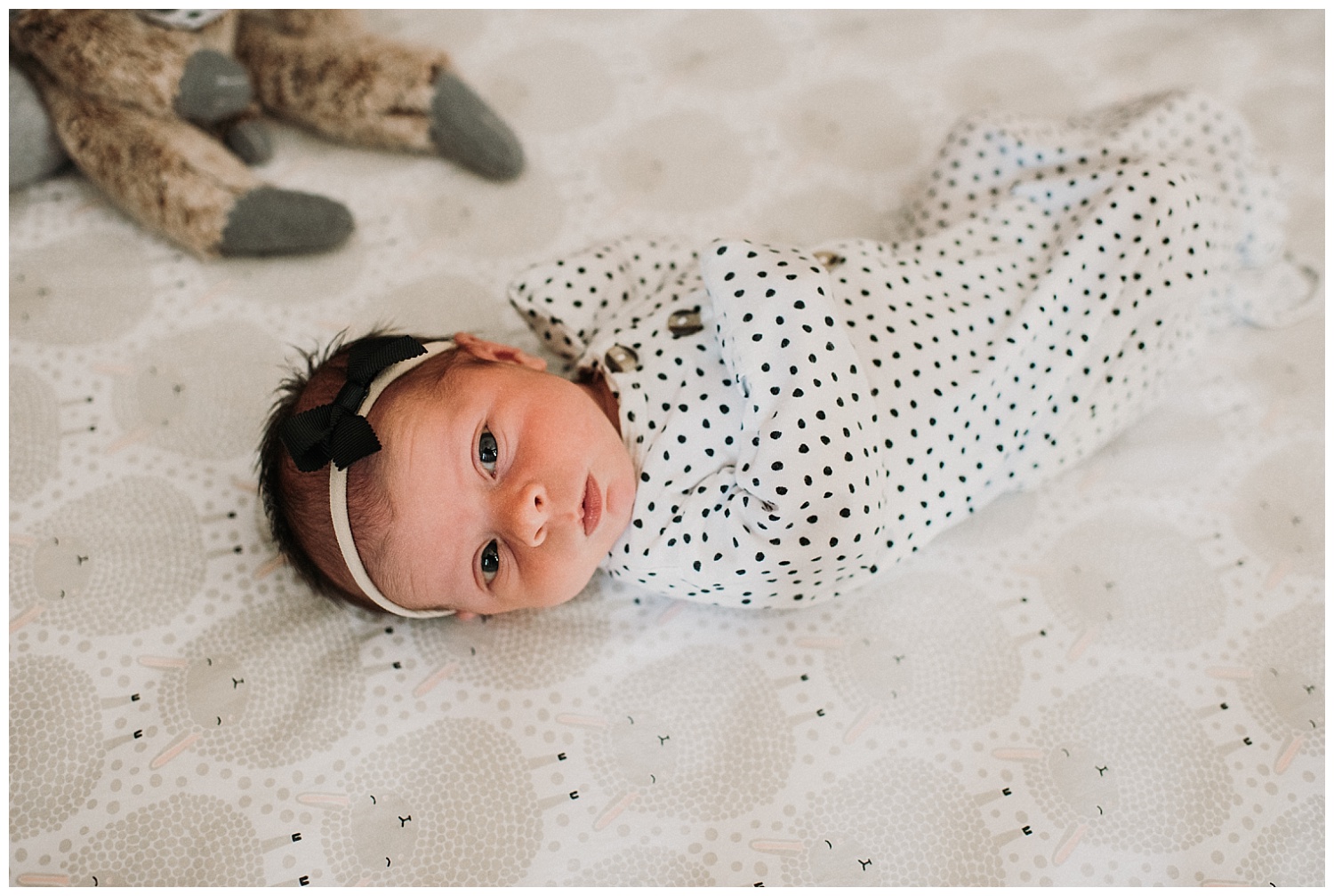 Milwaukee-newborn-photographer-2019 (32).jpg