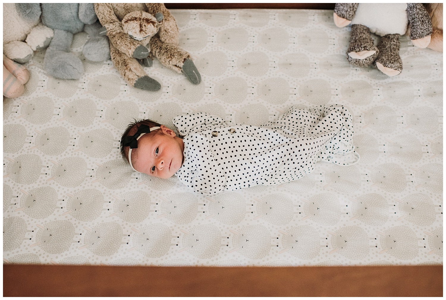 Milwaukee-newborn-photographer-2019 (33).jpg