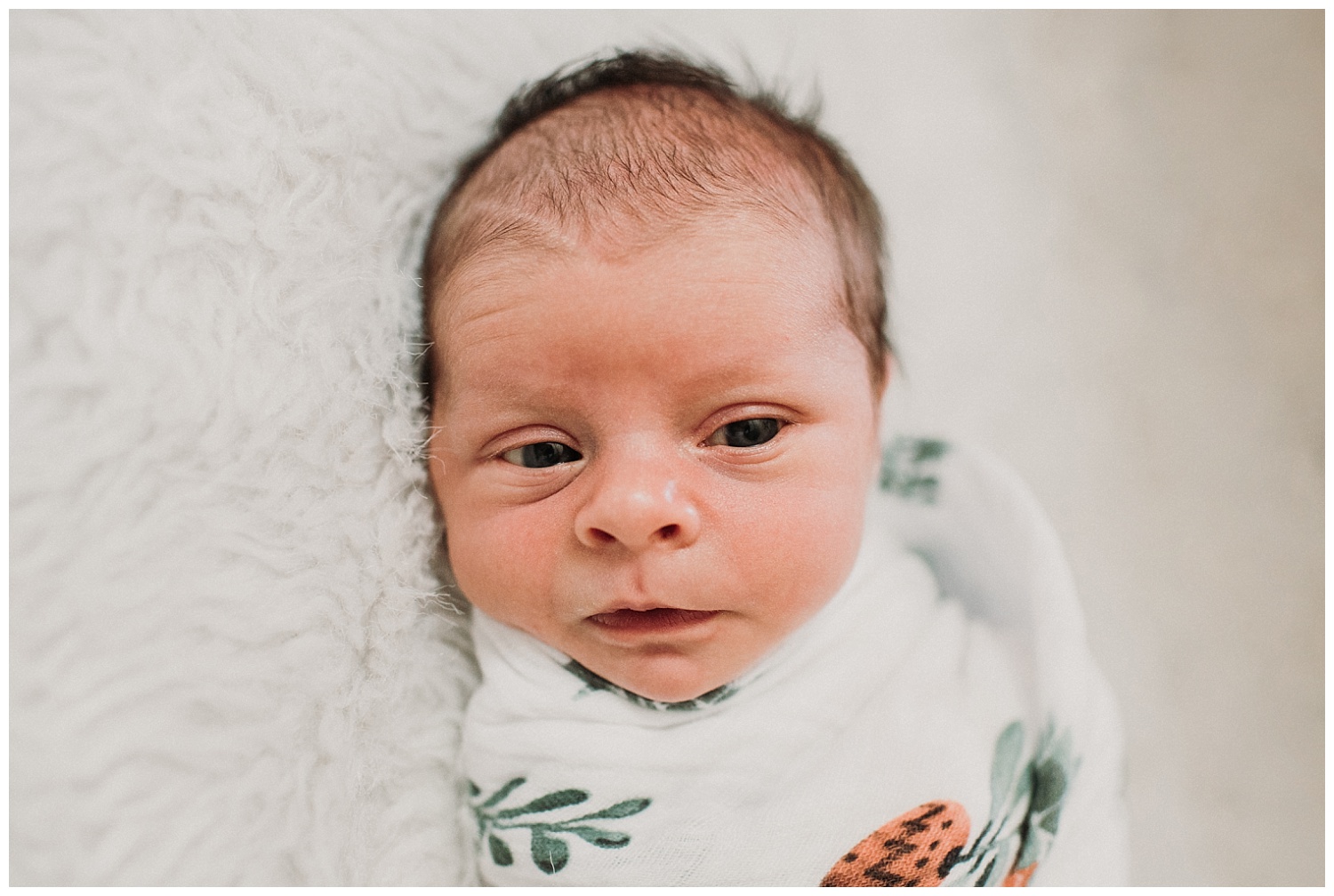 Milwaukee-newborn-photographer-2019 (41).jpg
