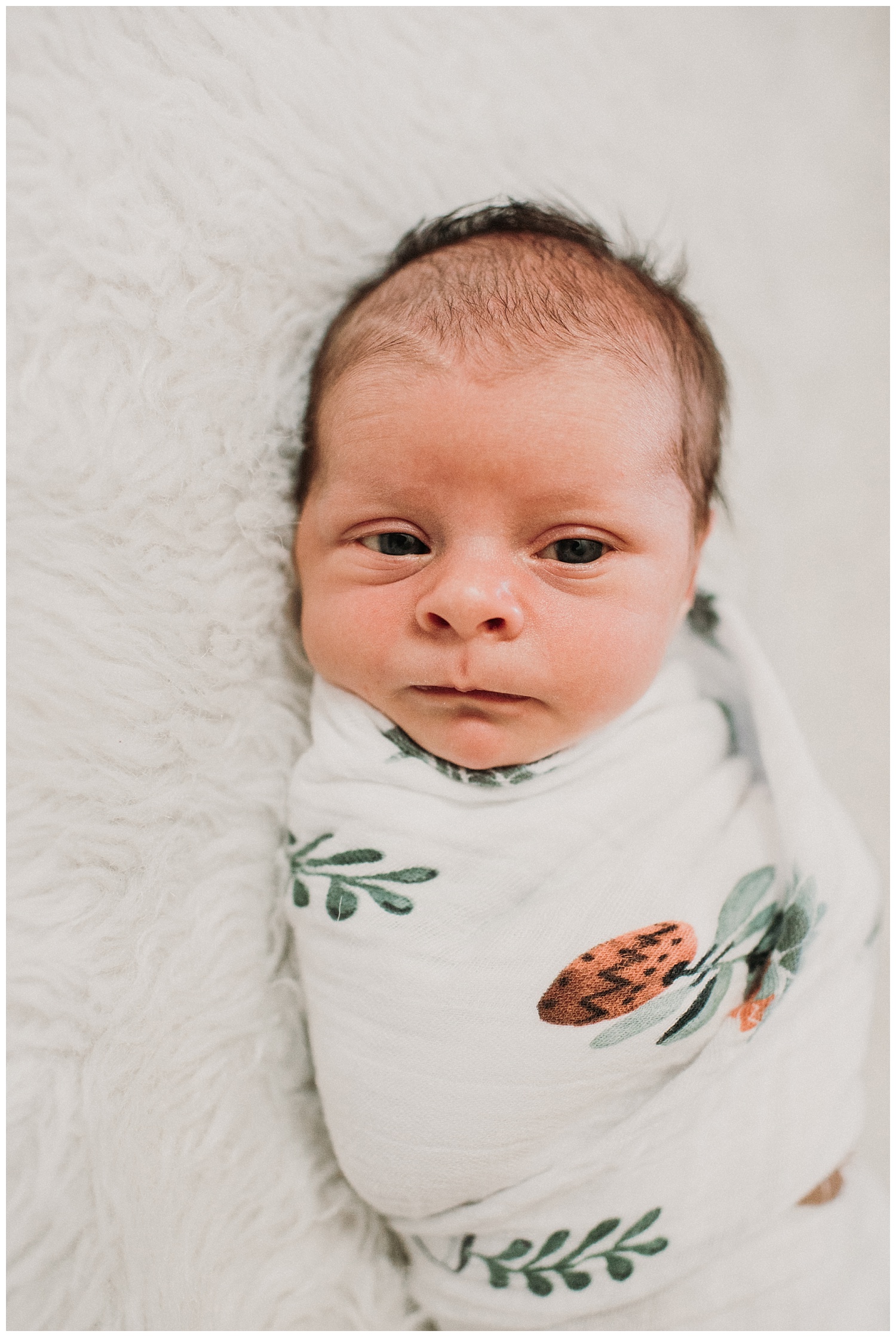 Milwaukee-newborn-photographer-2019 (43).jpg