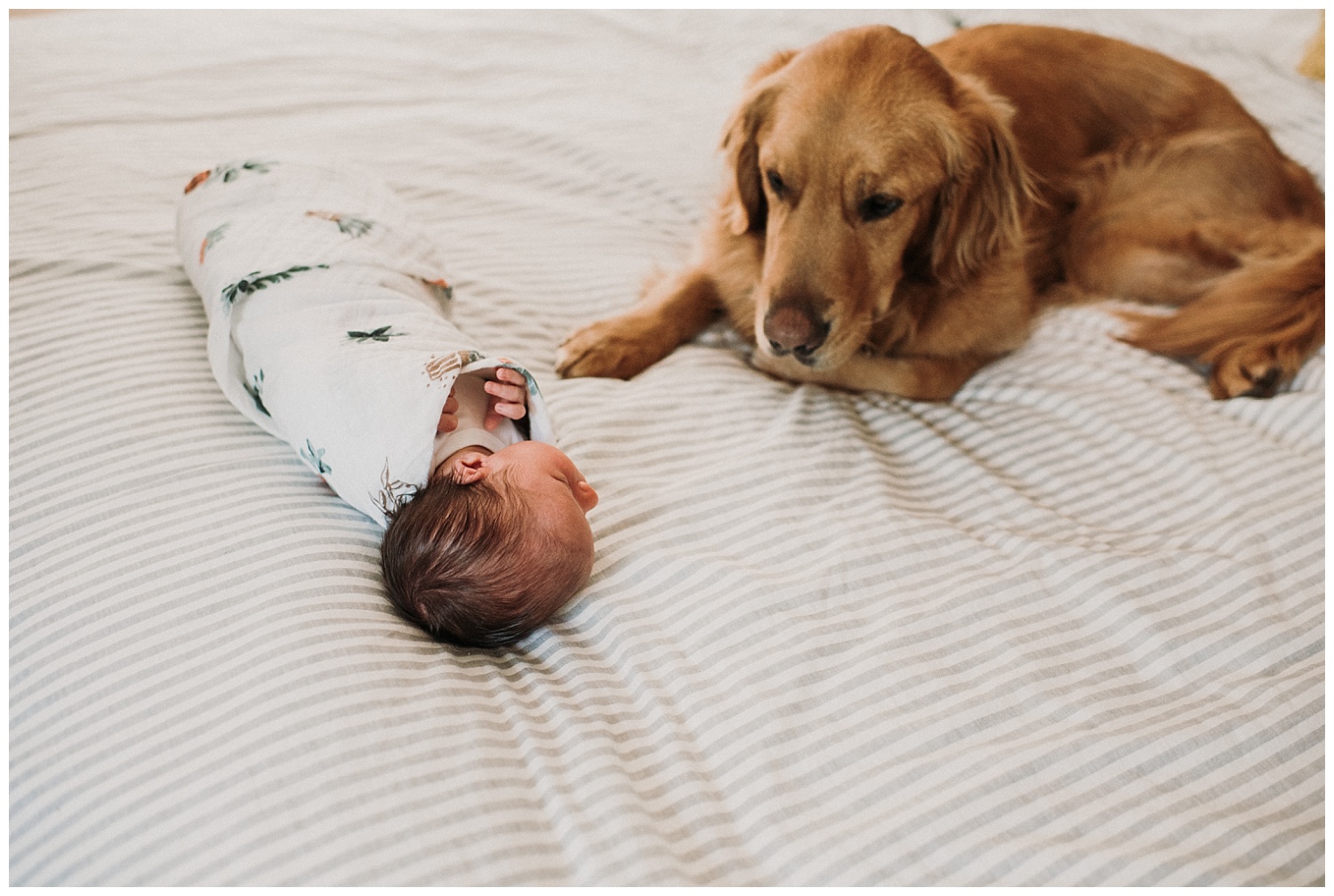 Milwaukee-newborn-photographer-2019 (46).jpg