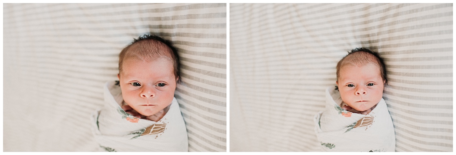 Milwaukee-newborn-photographer-2019 (47).jpg