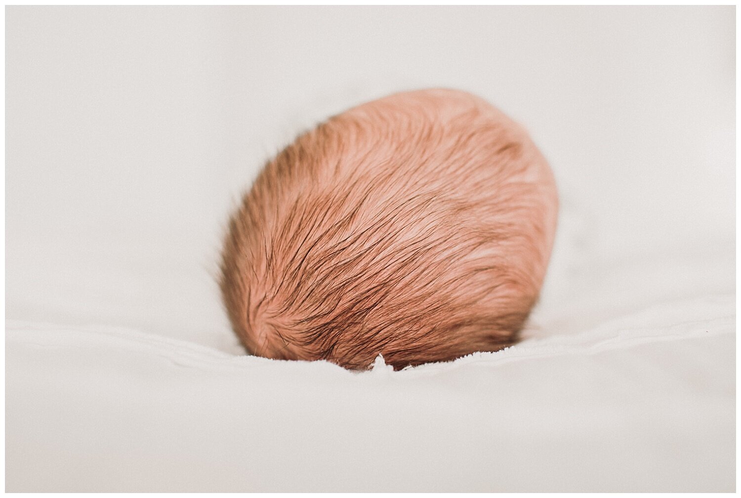 Milwaukee-newborn-photographer-2020 (38).jpg