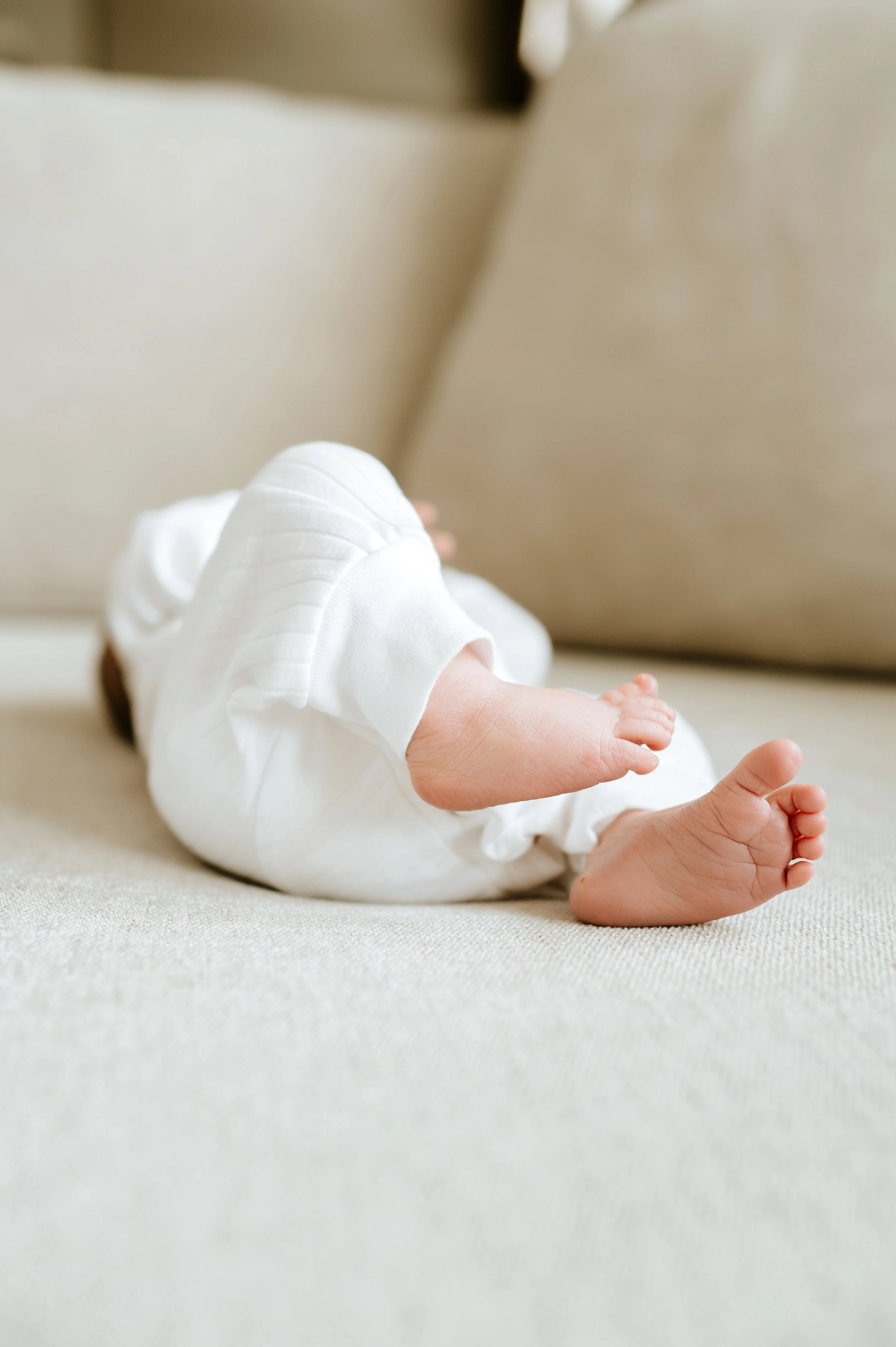 Milwaukee in home Newborn Lifestyle Session 2023