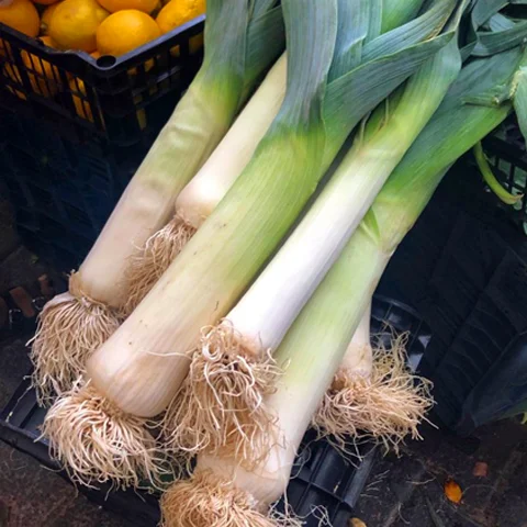leeks.jpg