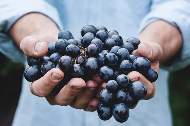 How to Live Healthier, Both Inside and Out