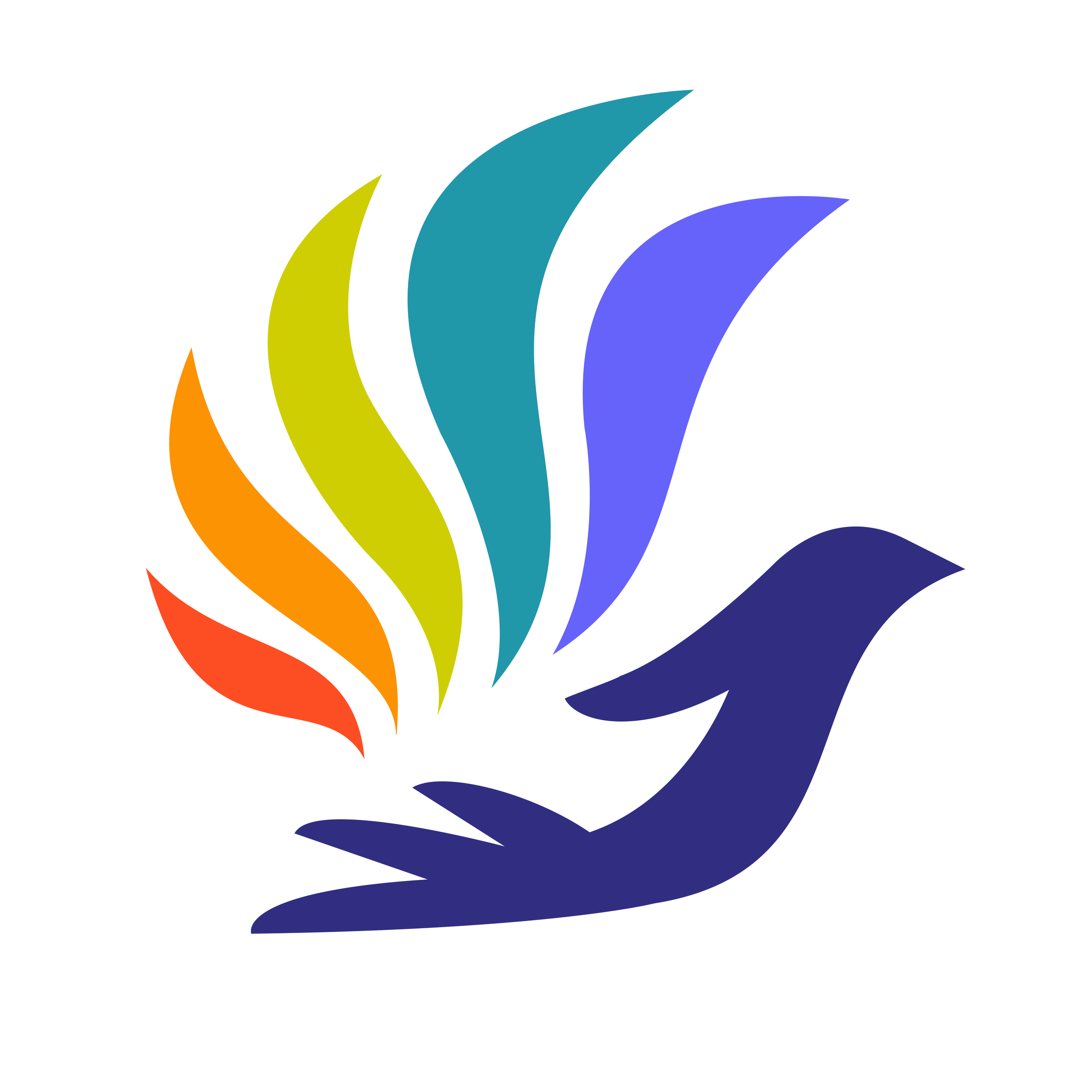 Meet the New Oasis 🌈