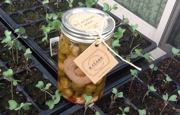 jar-in-garden.png