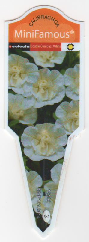 Calibrachoa MiniFamous Double Compact White.png